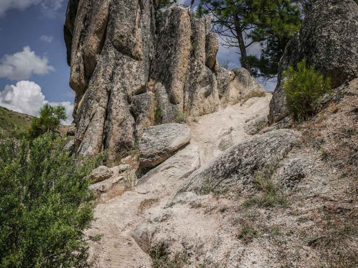 301 trail photo