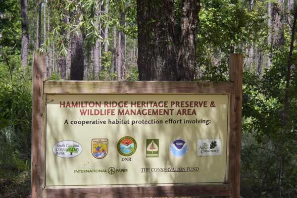 Hamilton Ridge Line Connector