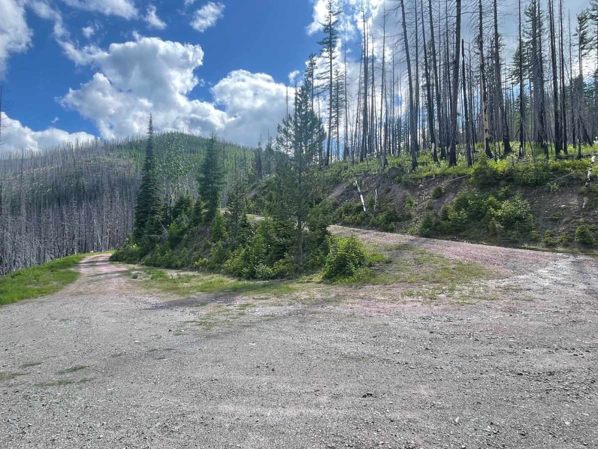 Stanley Creek photo 5