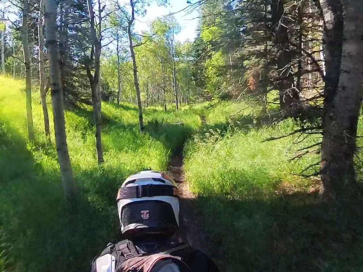 Tibble Fork (2041) trail photo