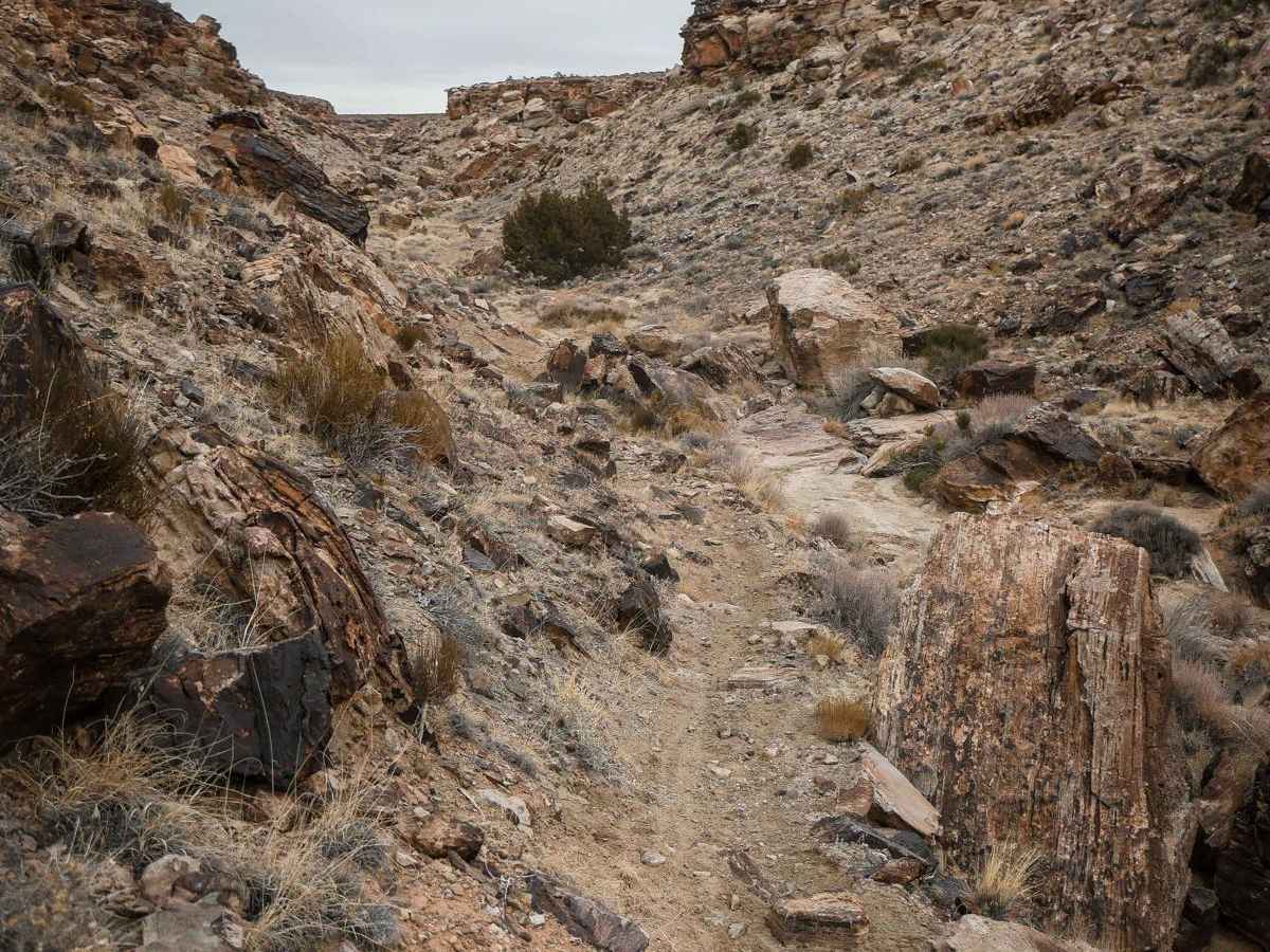 Cedar Mountain Canyon photo 6