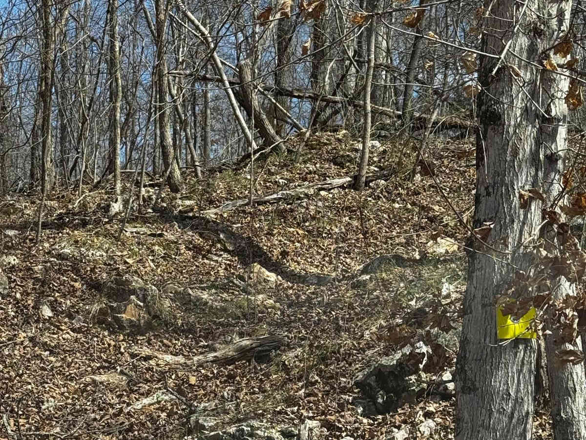 Ball Tickler trail photo