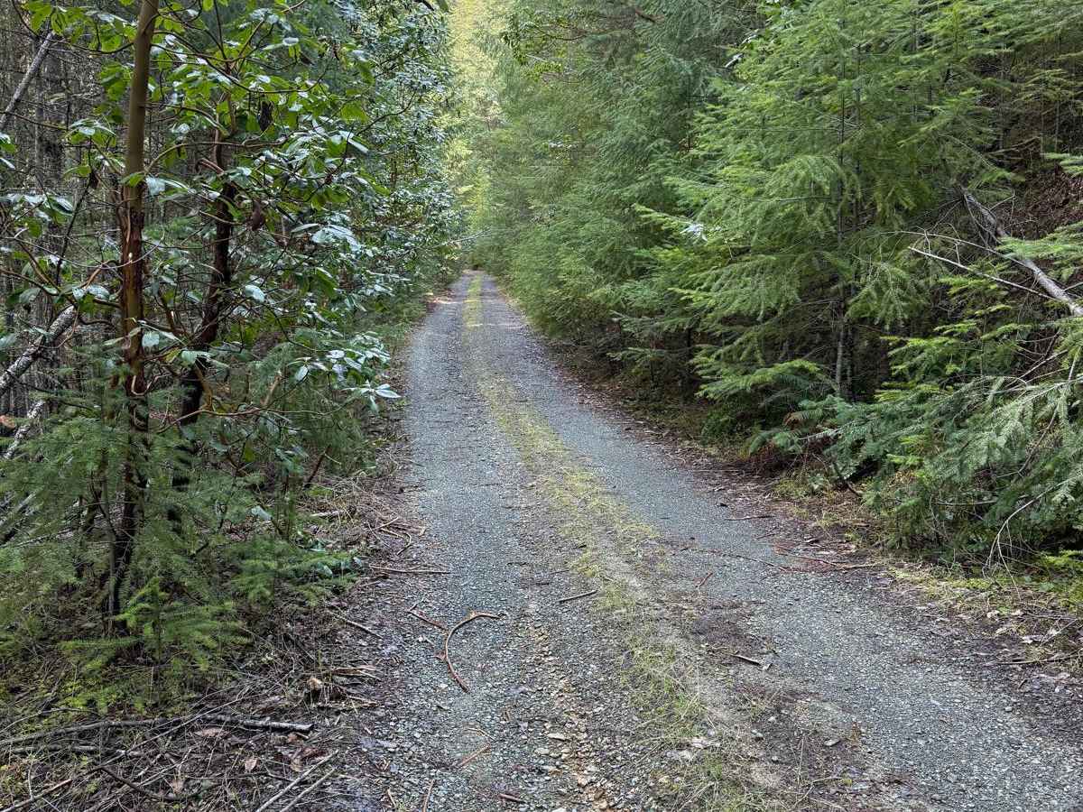 Right Fork Hellgate Recreation Site photo 5