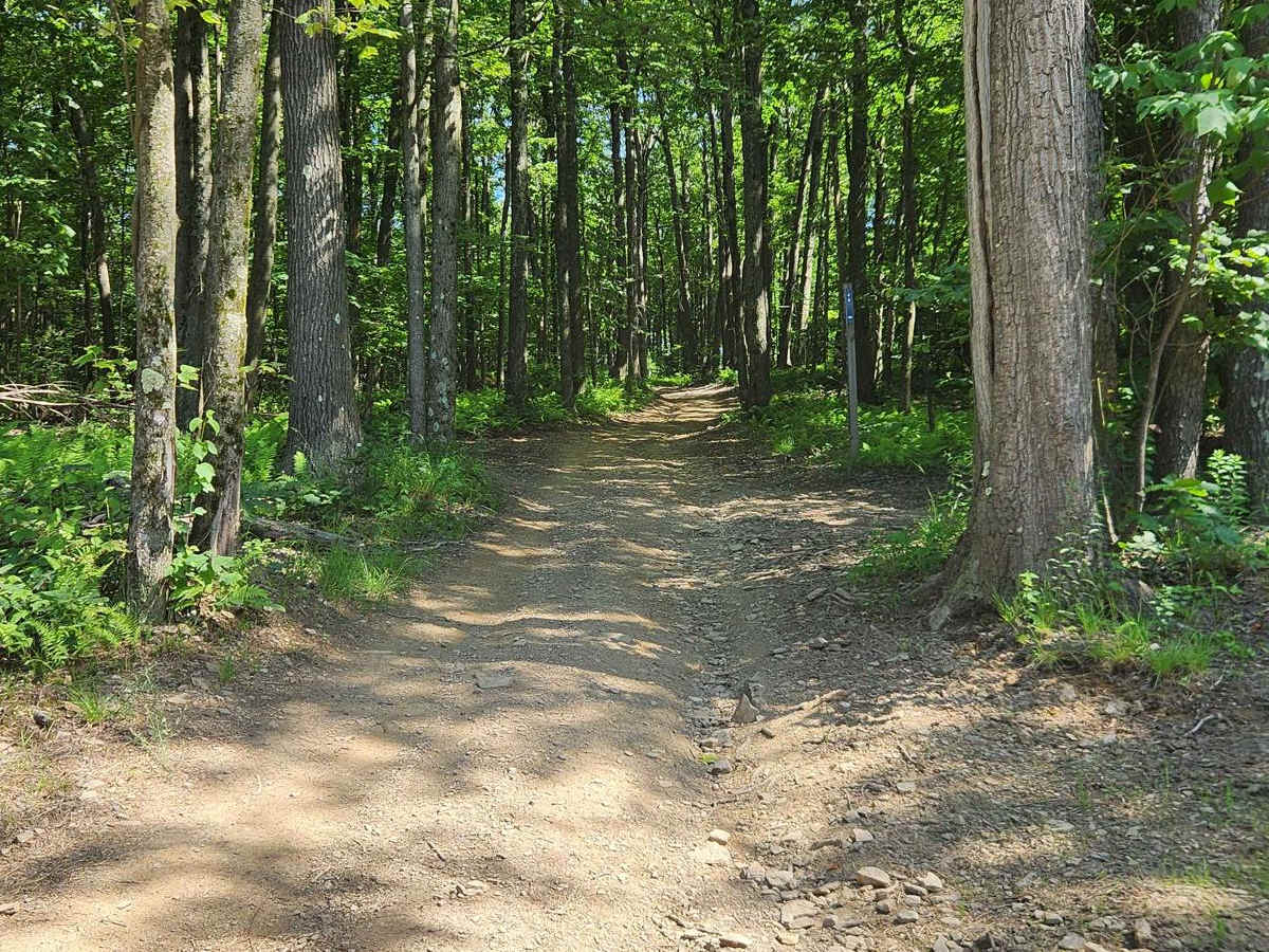 WR Road - Rock Run Recreation Area photo 5