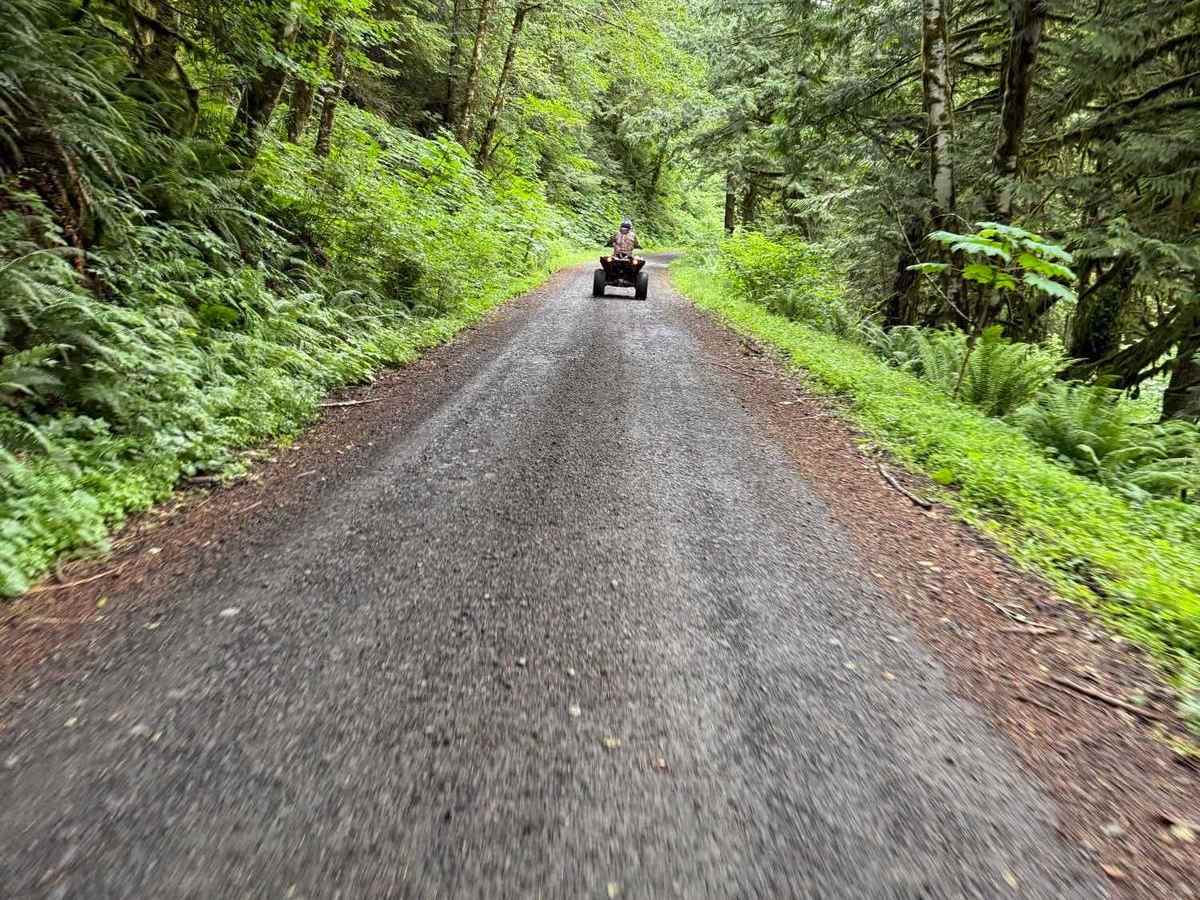 Main Road Rock Candy trail photo