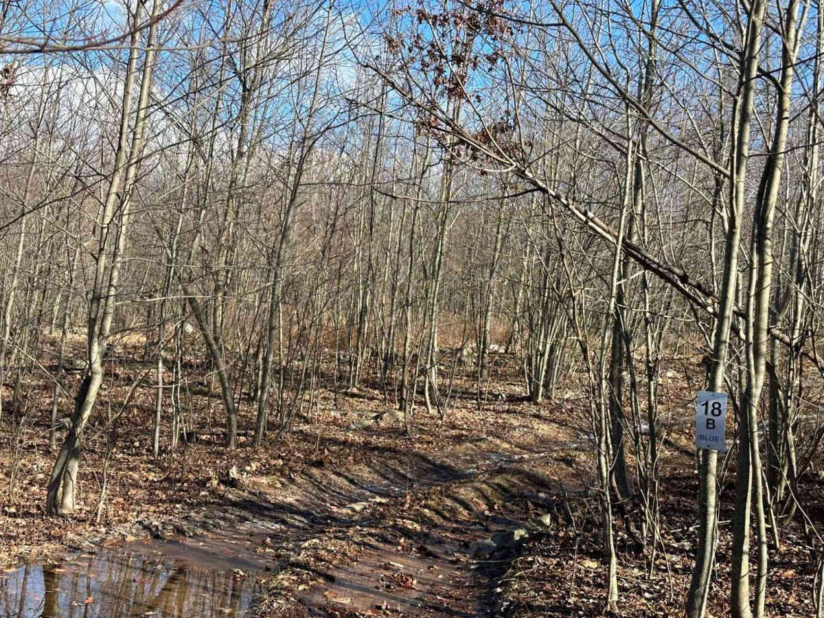 18A Blue East photo 2