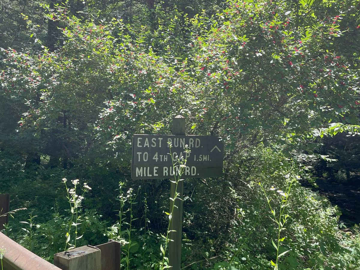East Run Road trail photo