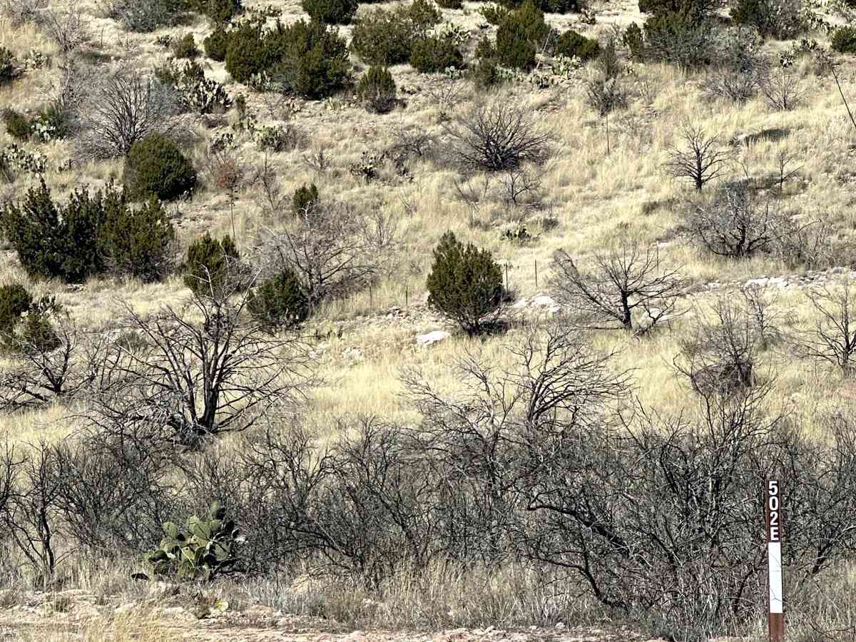 Buzzard Tank Trail photo 2