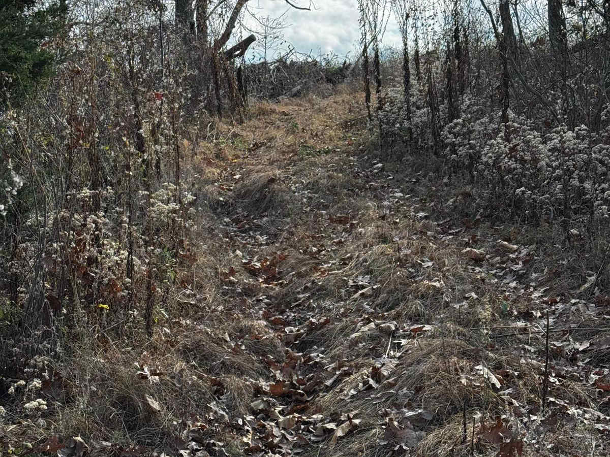 X3 Hill photo 2