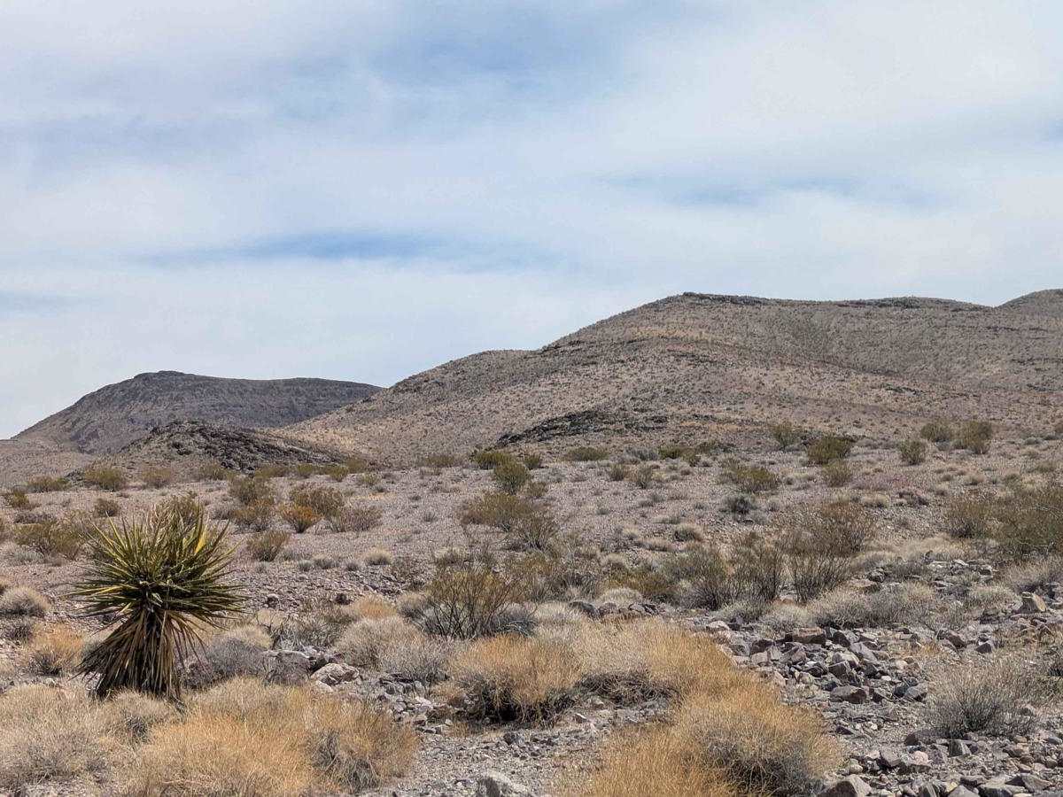 Rocky Wash trail photo