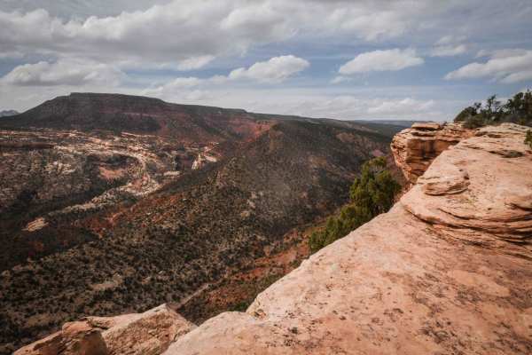 Comb Ridge View