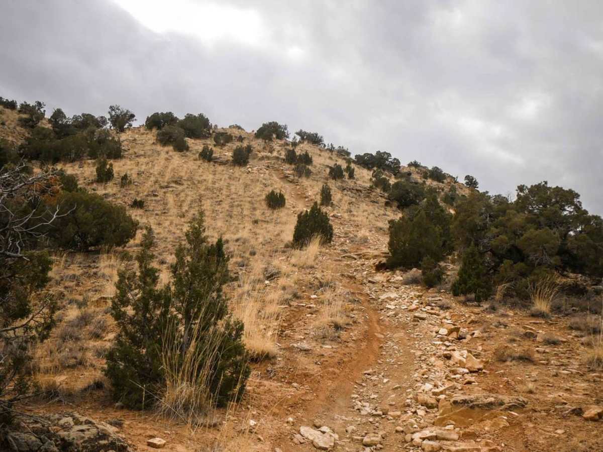 Zion Curtain Part 1 trail photo