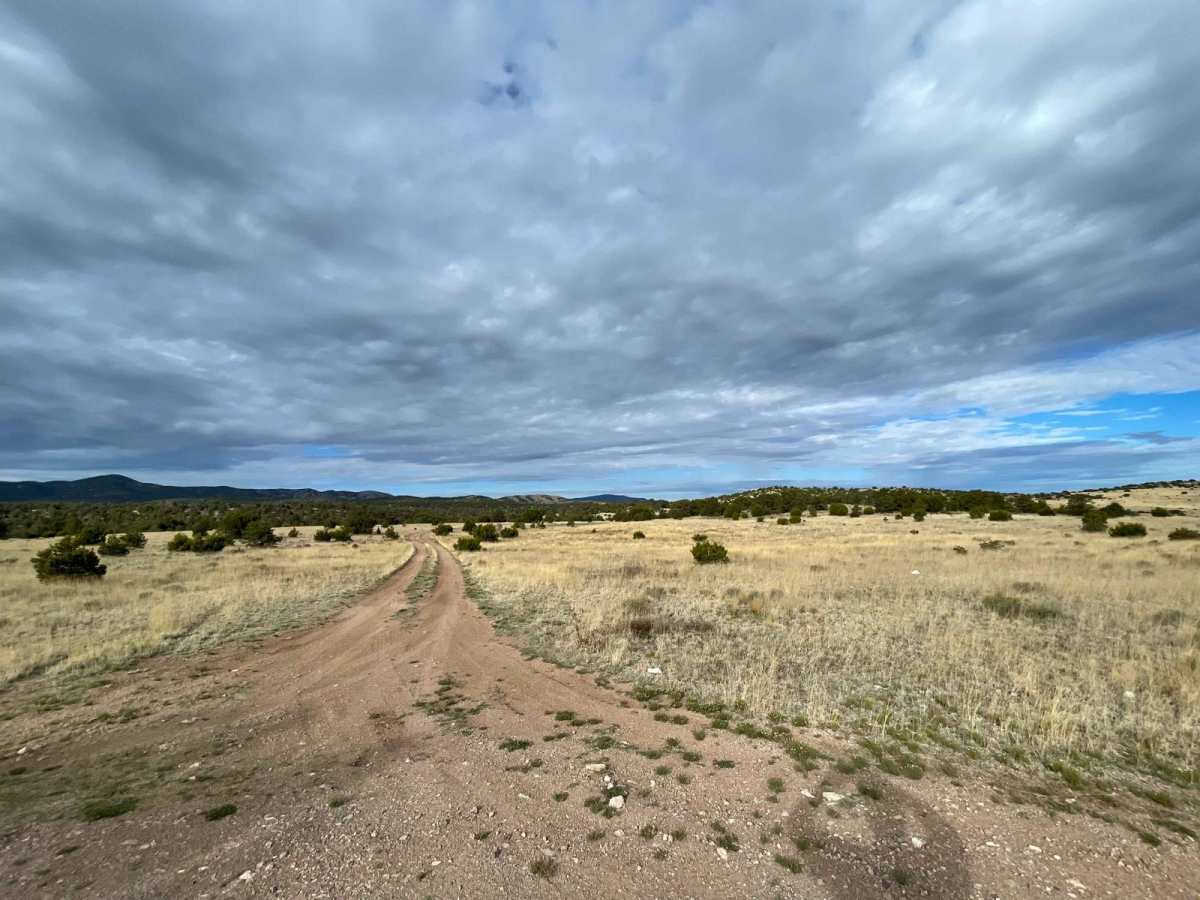Cibola Overlook photo 5