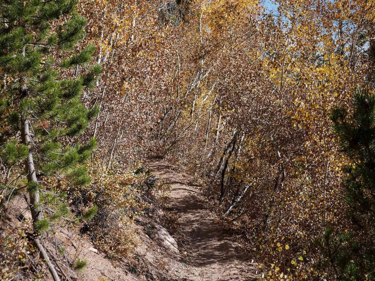 Pile Driver trail photo