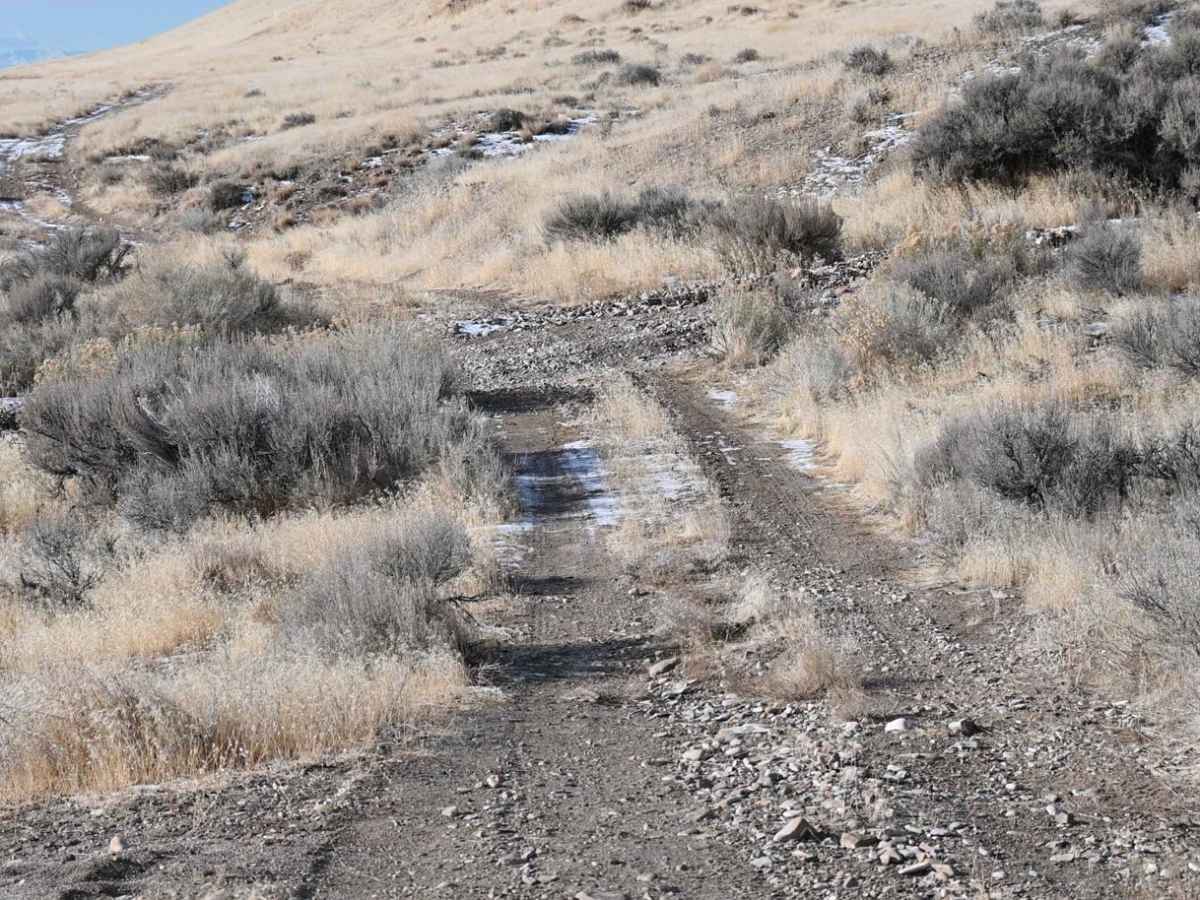 Grassy Mountain Ranch photo 2