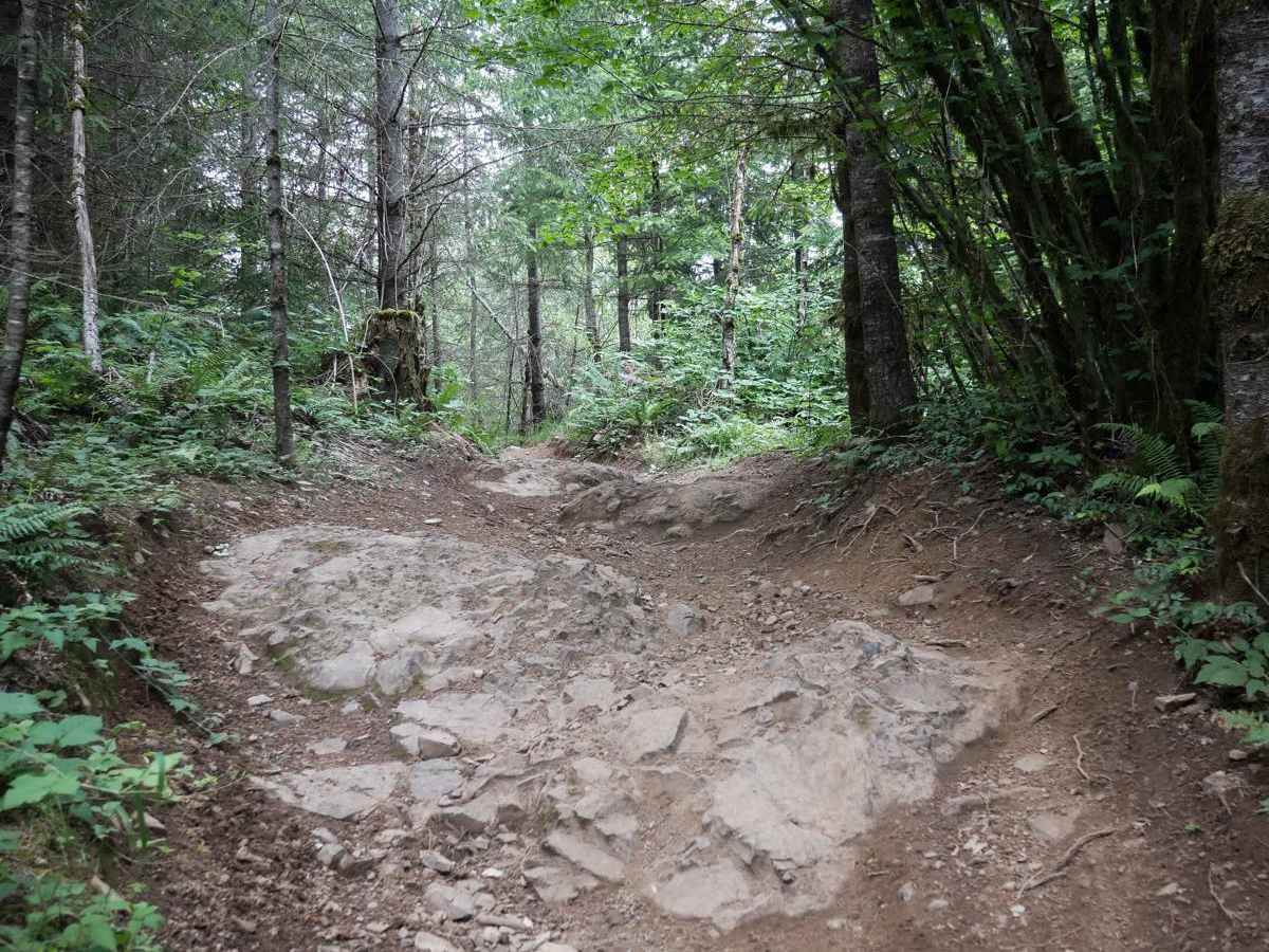 Judys Grade trail photo
