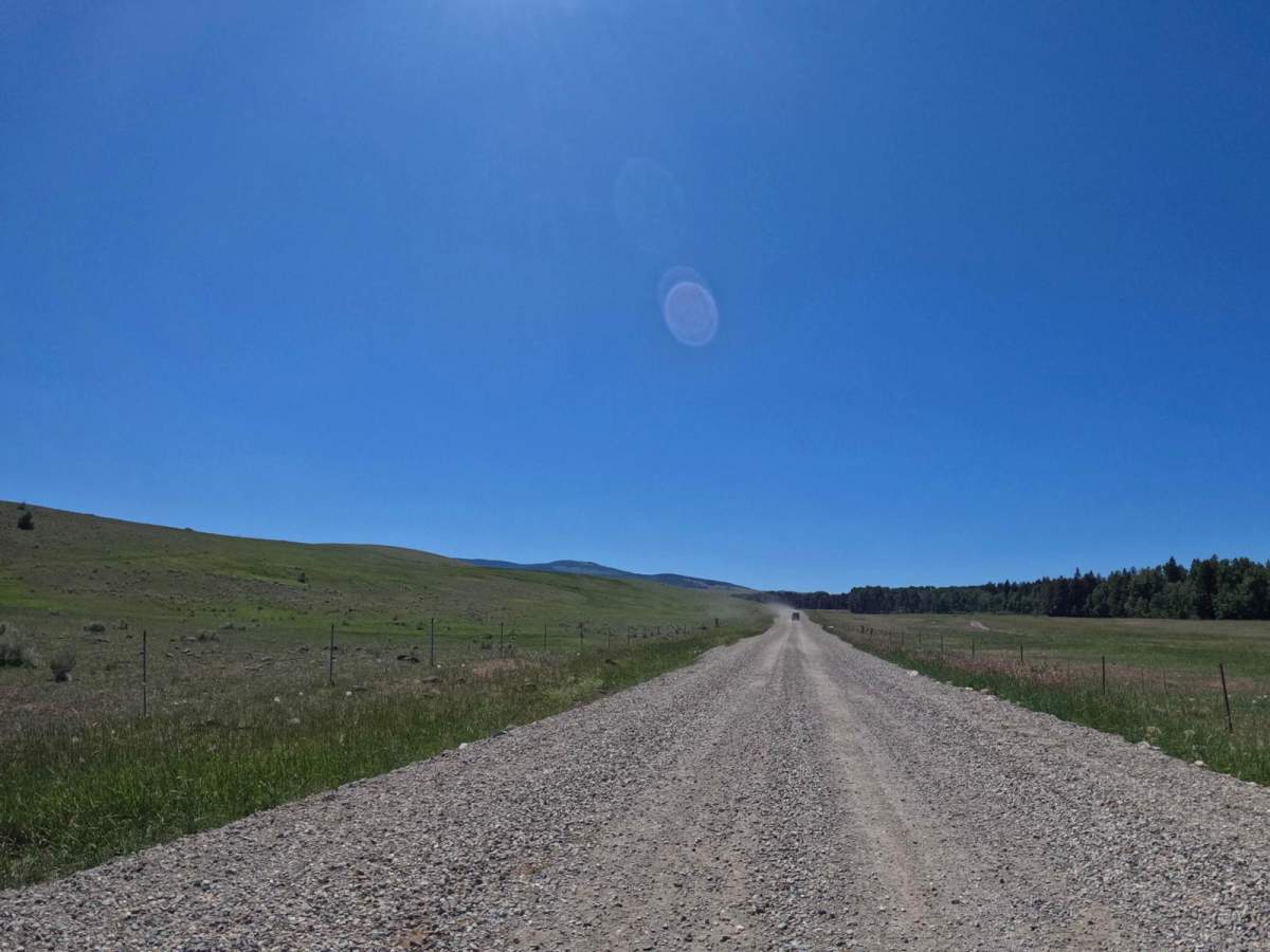 Emery Road-Champion Pass trail photo