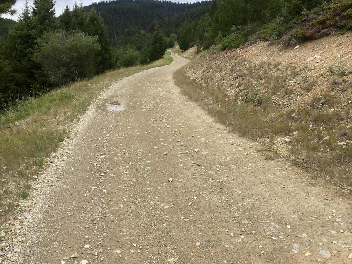 Lone Point Drive - FS 1824 photo 3