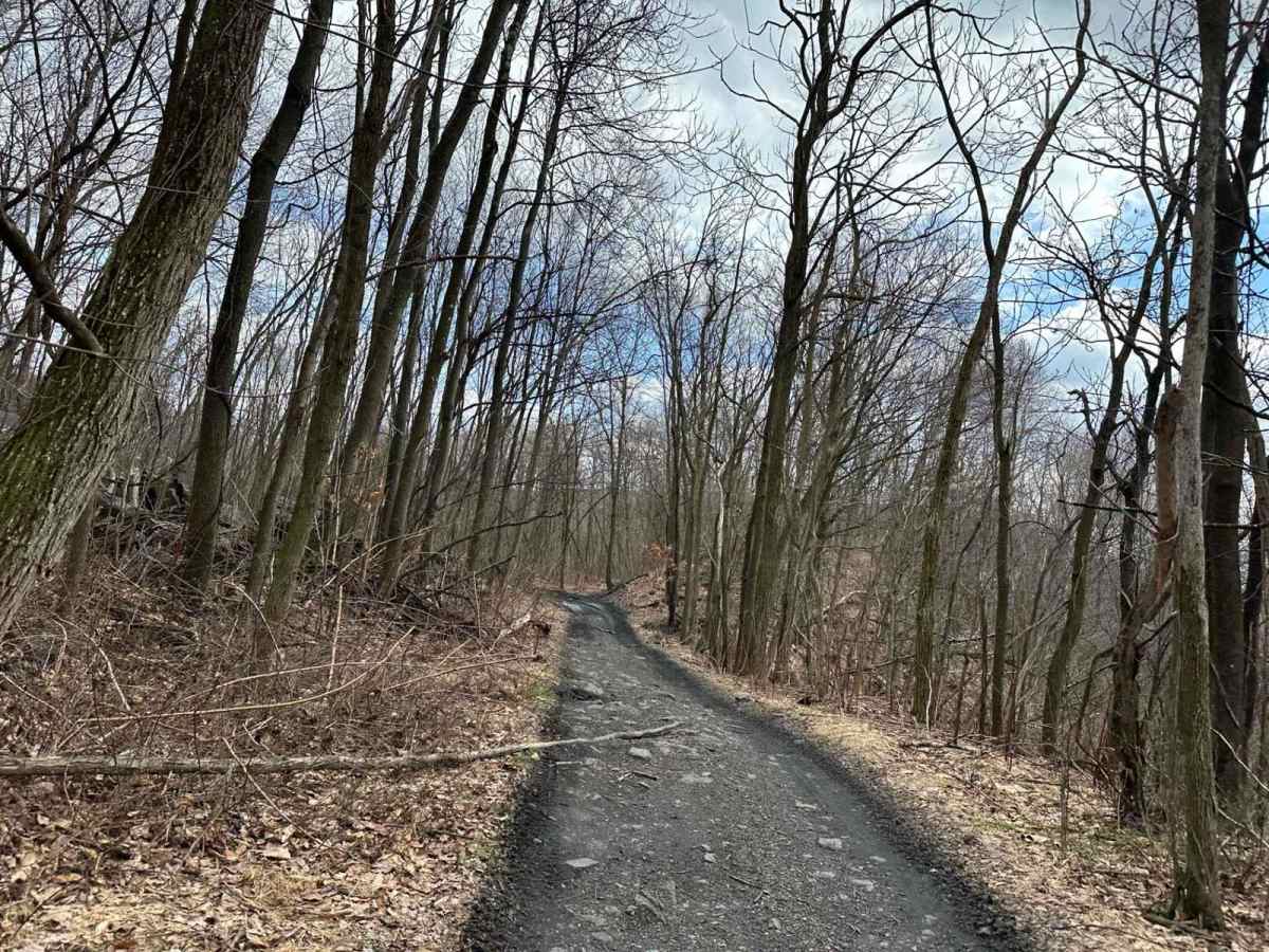 Ashland 13 photo 2