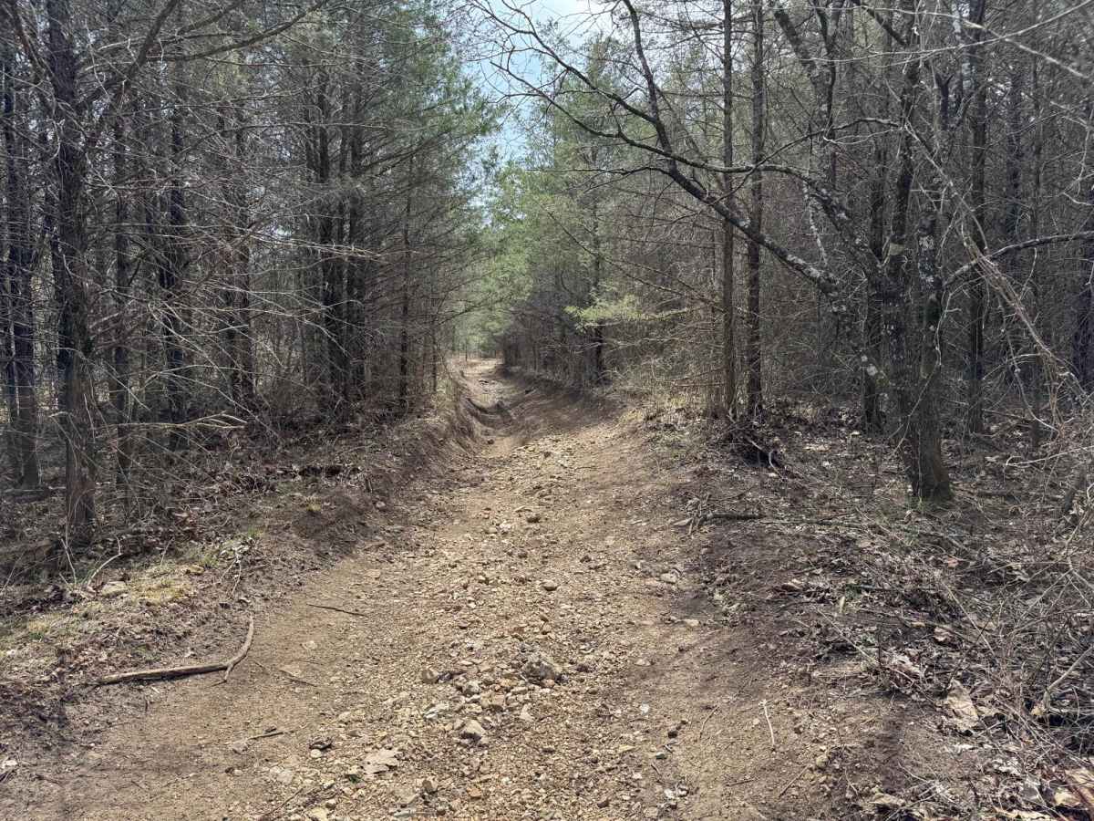 Gary Hollow - FSR 510A photo 3