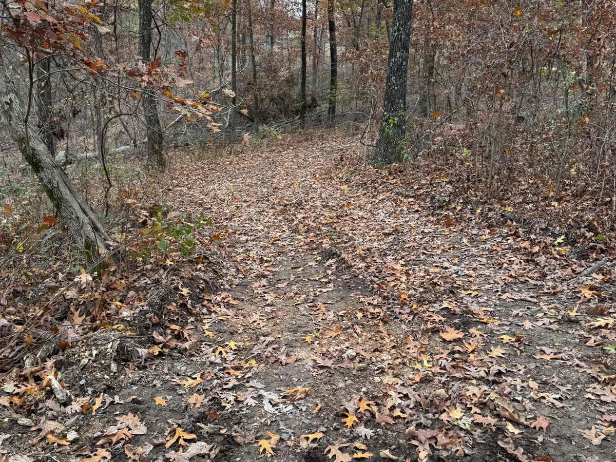 Green 186 photo 5