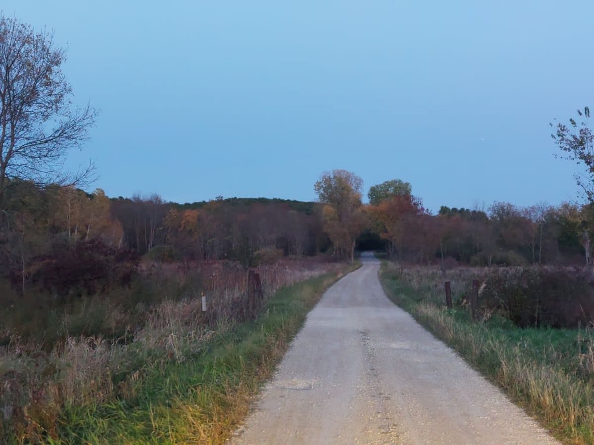 Pine Bluff trail photo