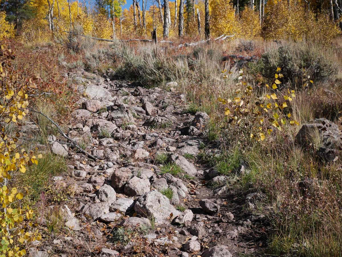 North Gulch photo 2