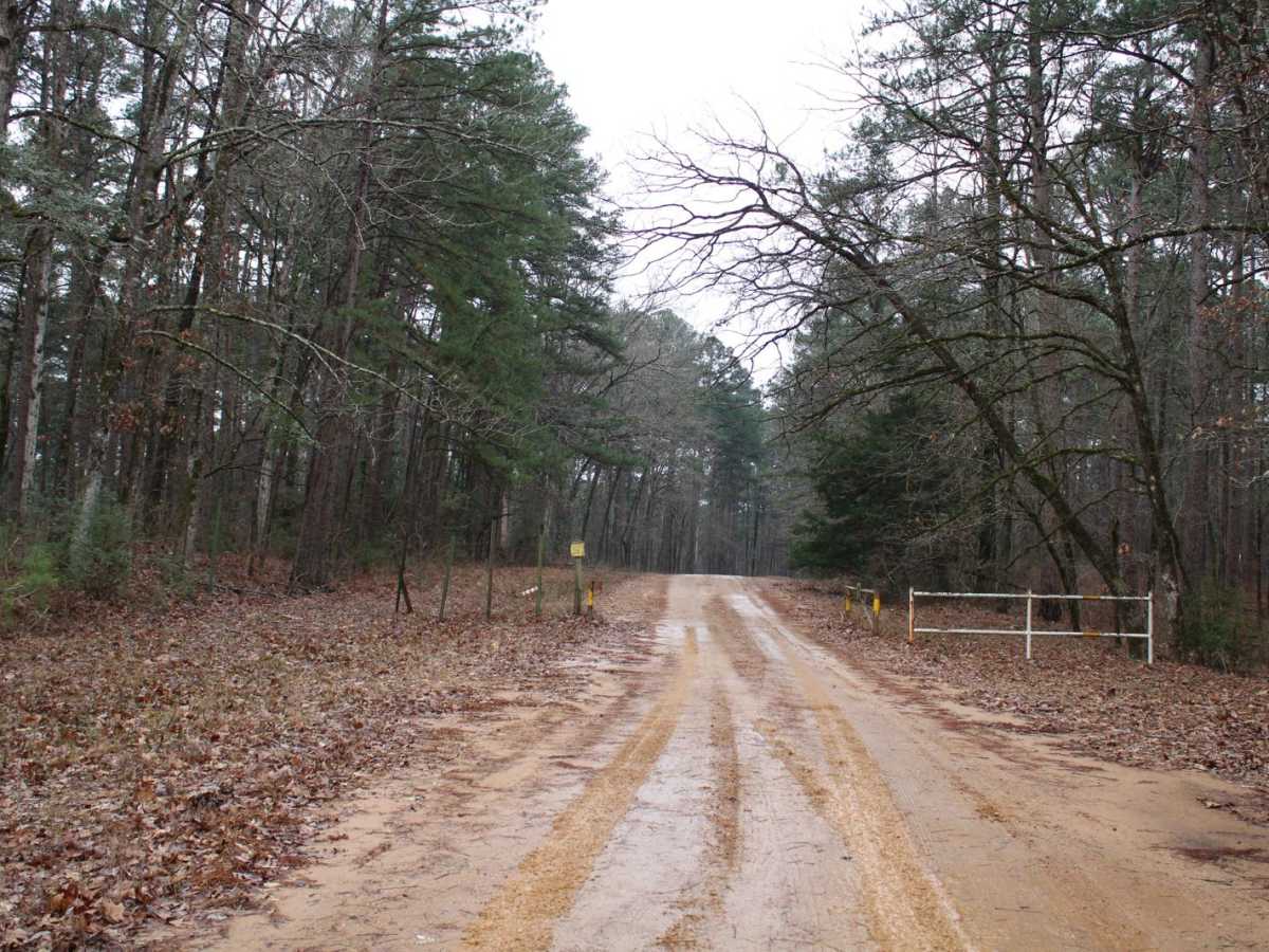 Gum Springs and Fowler photo 2
