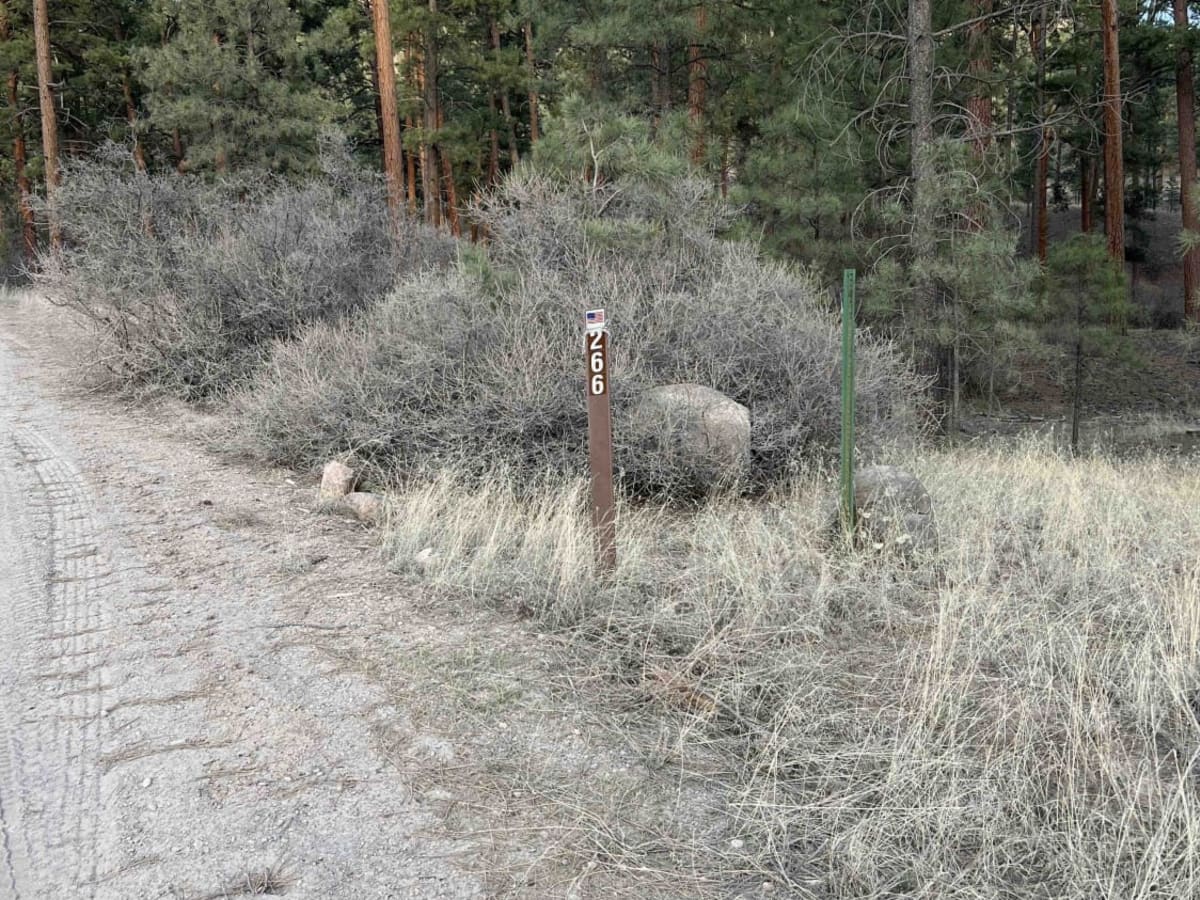 Bear Springs Road 266 photo 4