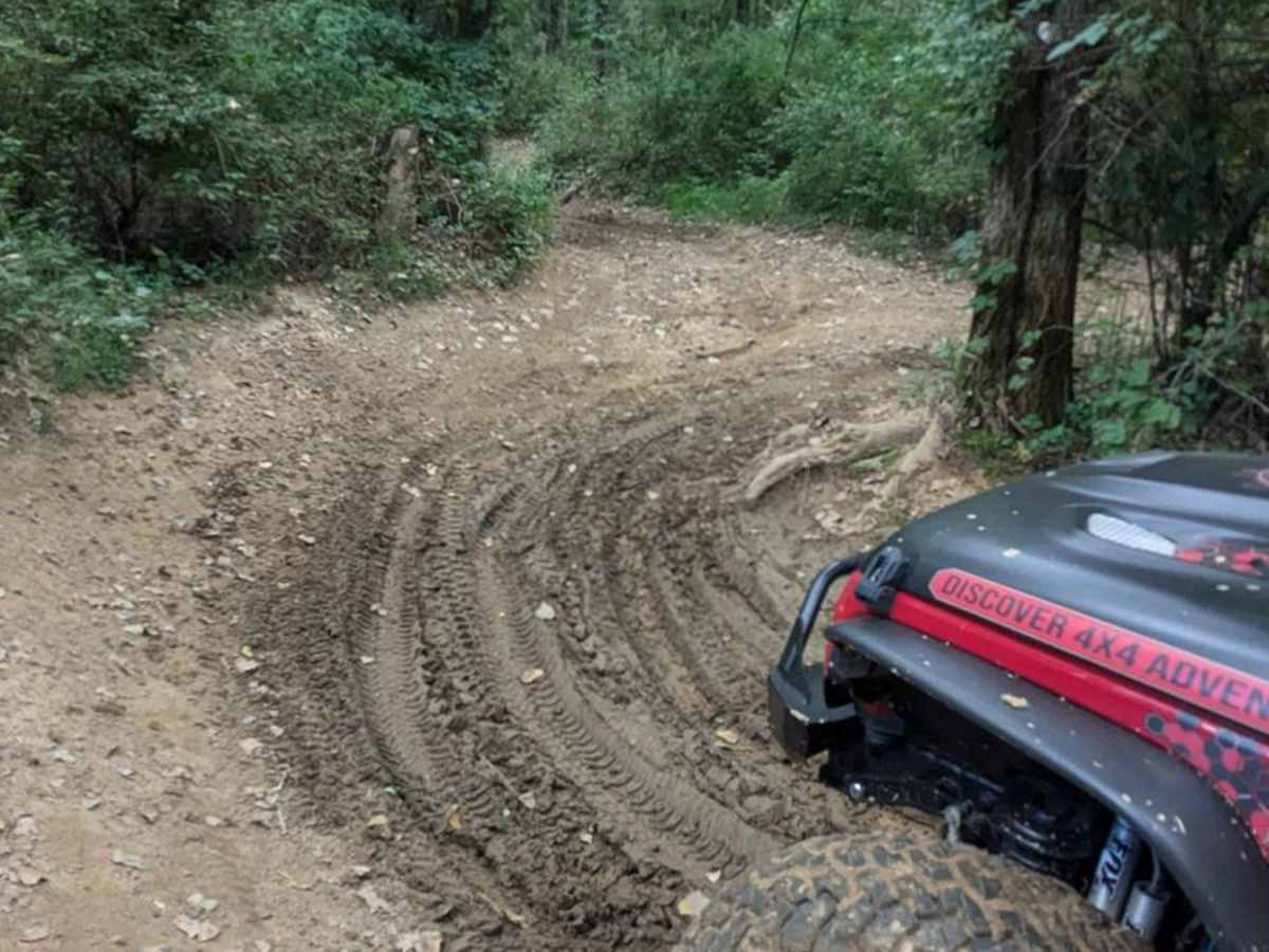 Deer Run photo 5