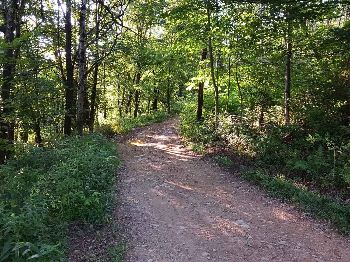 Trail 12C - Rock Run Recreation Area photo 3