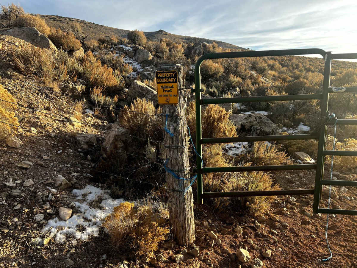 Two Track Trail photo 6