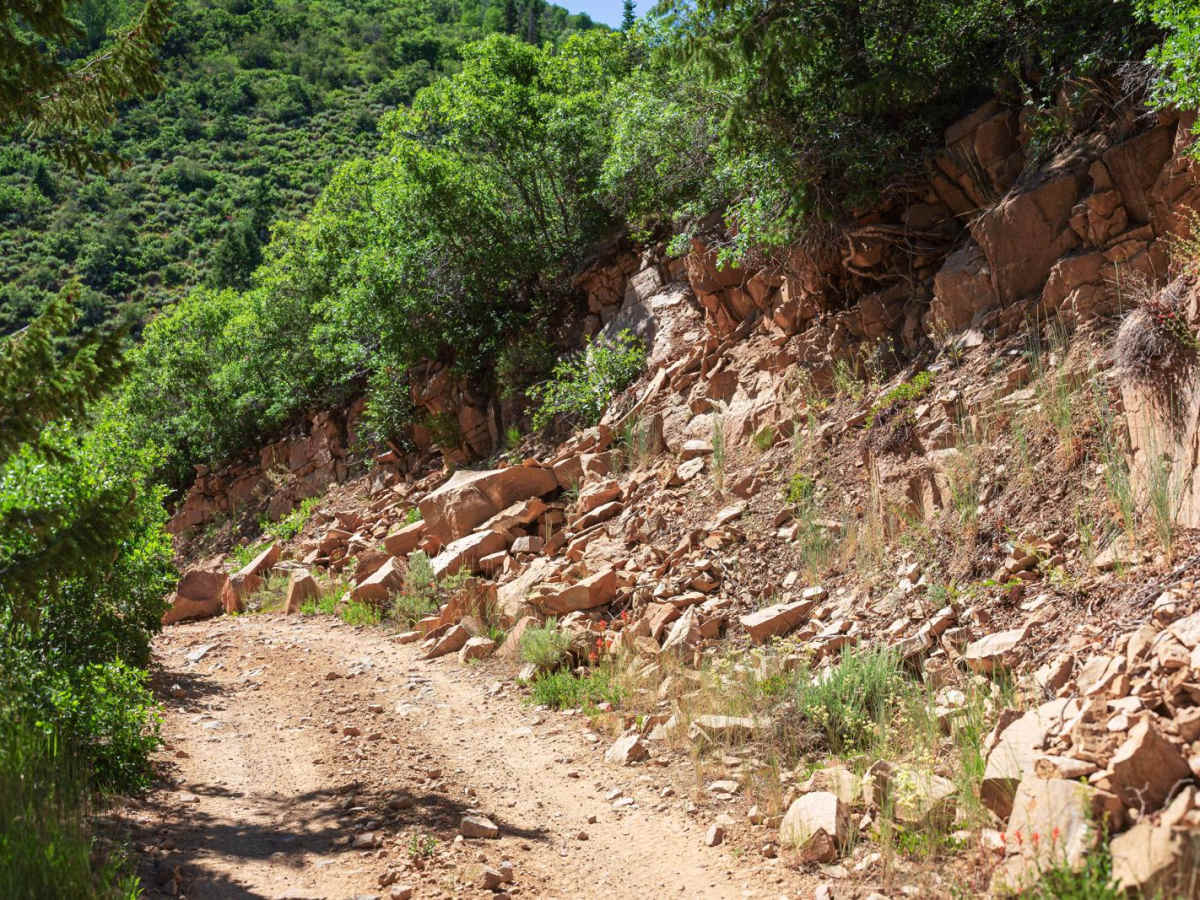 Main Canyon - FS 70046 trail photo