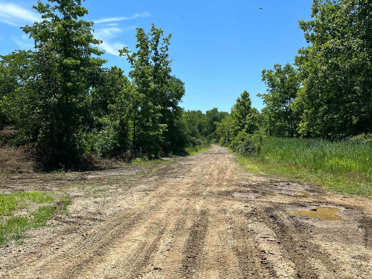Amax Haul Road photo 5