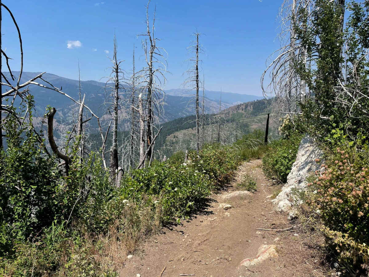 Grass Mountain ATV photo 5