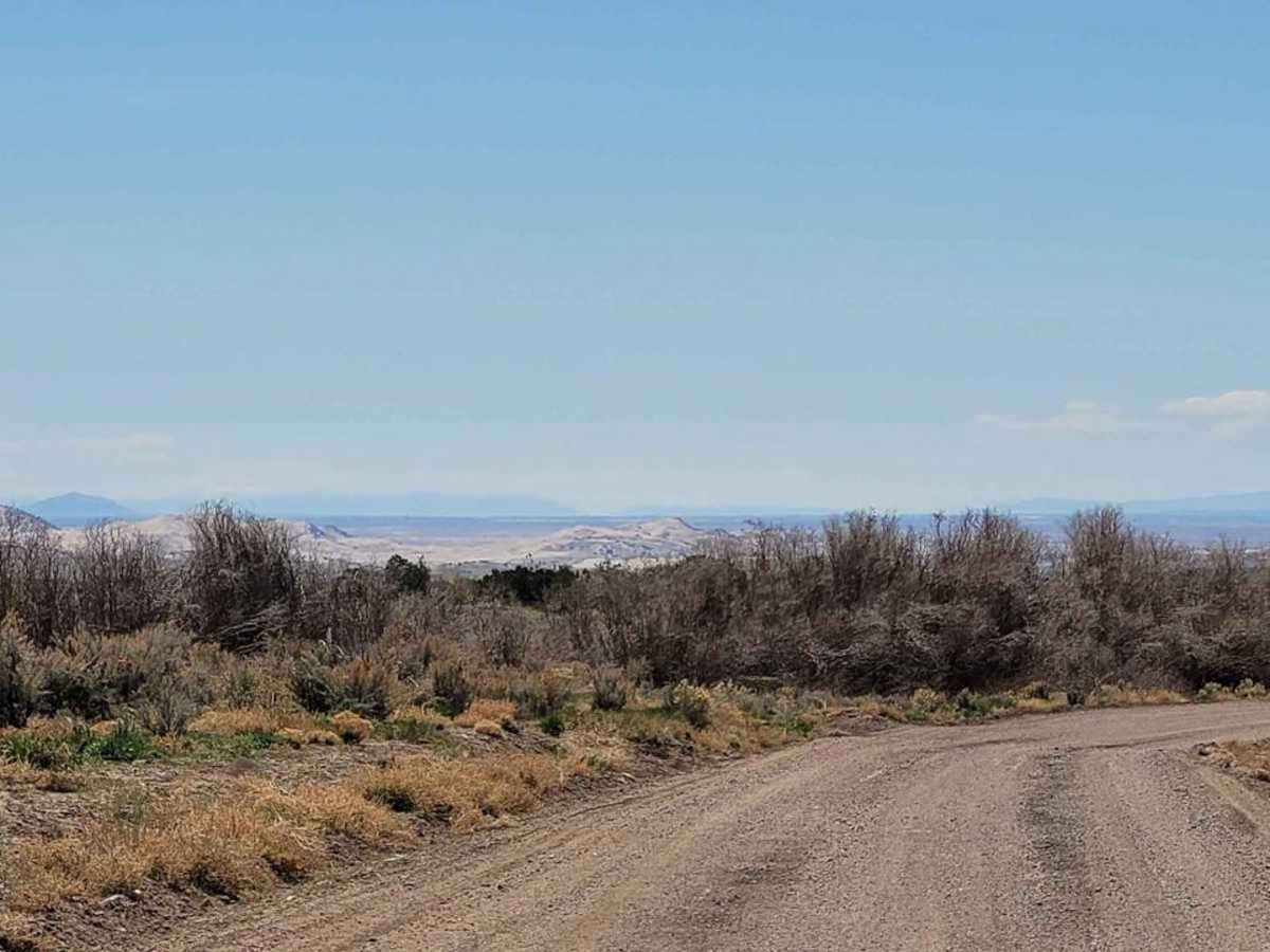 Cherry Creek Road photo 5