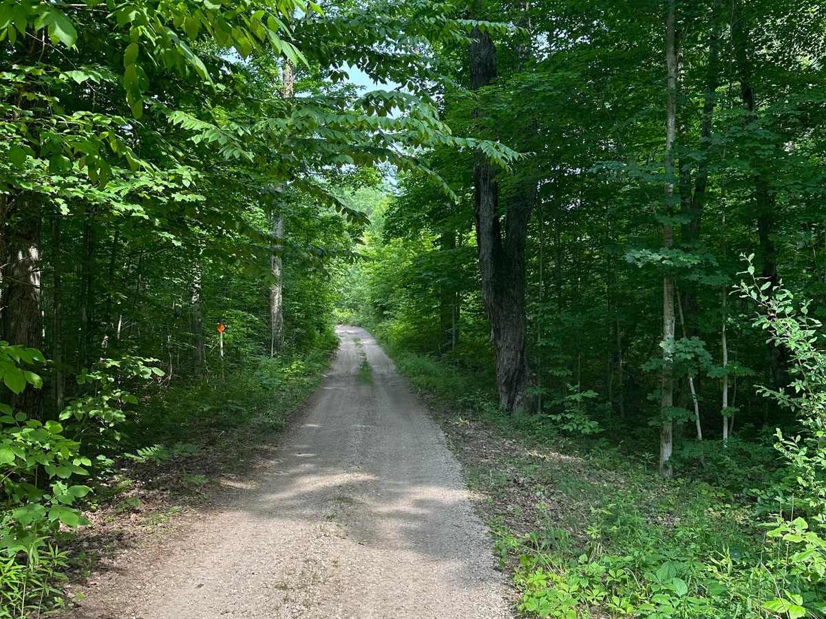 Betsie Valley Bypass/391 trail photo