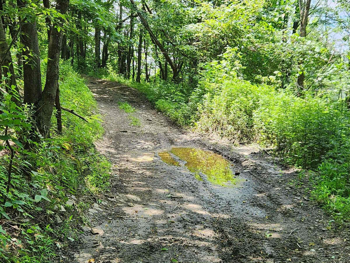 Trail 6A - Rock Run Recreation Area photo 2