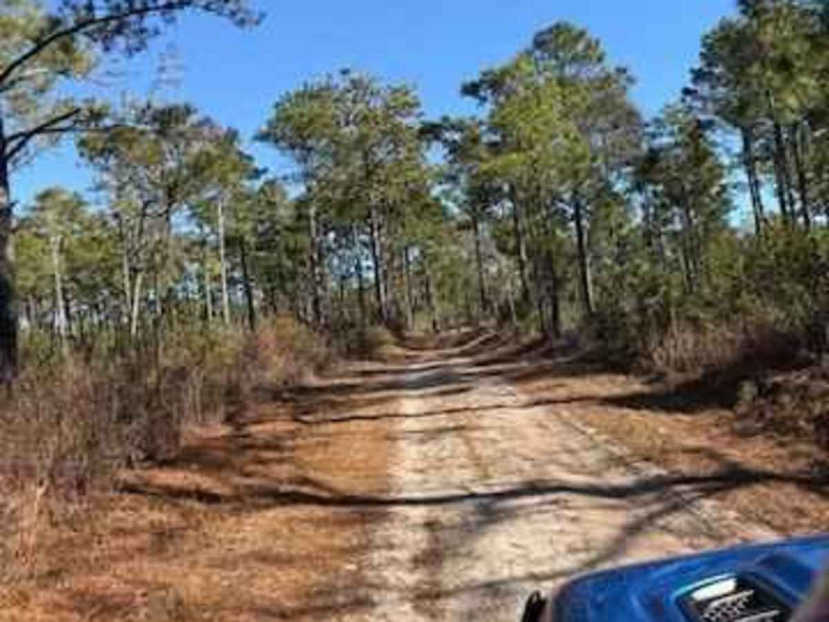 Pettiford Creek West Entrance trail photo
