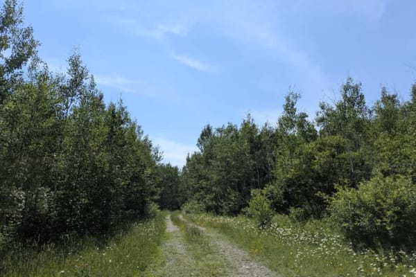 Mooseline Spur E