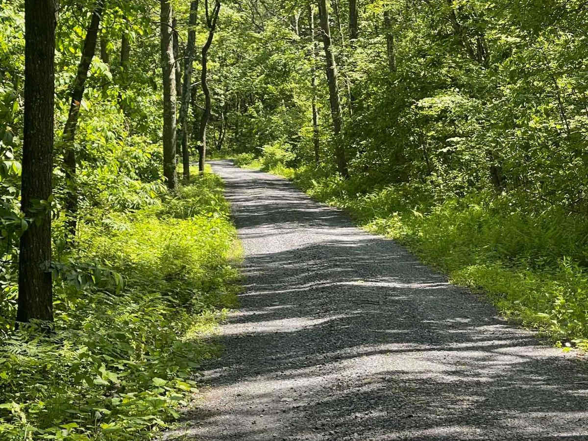 Robbins Road photo 2