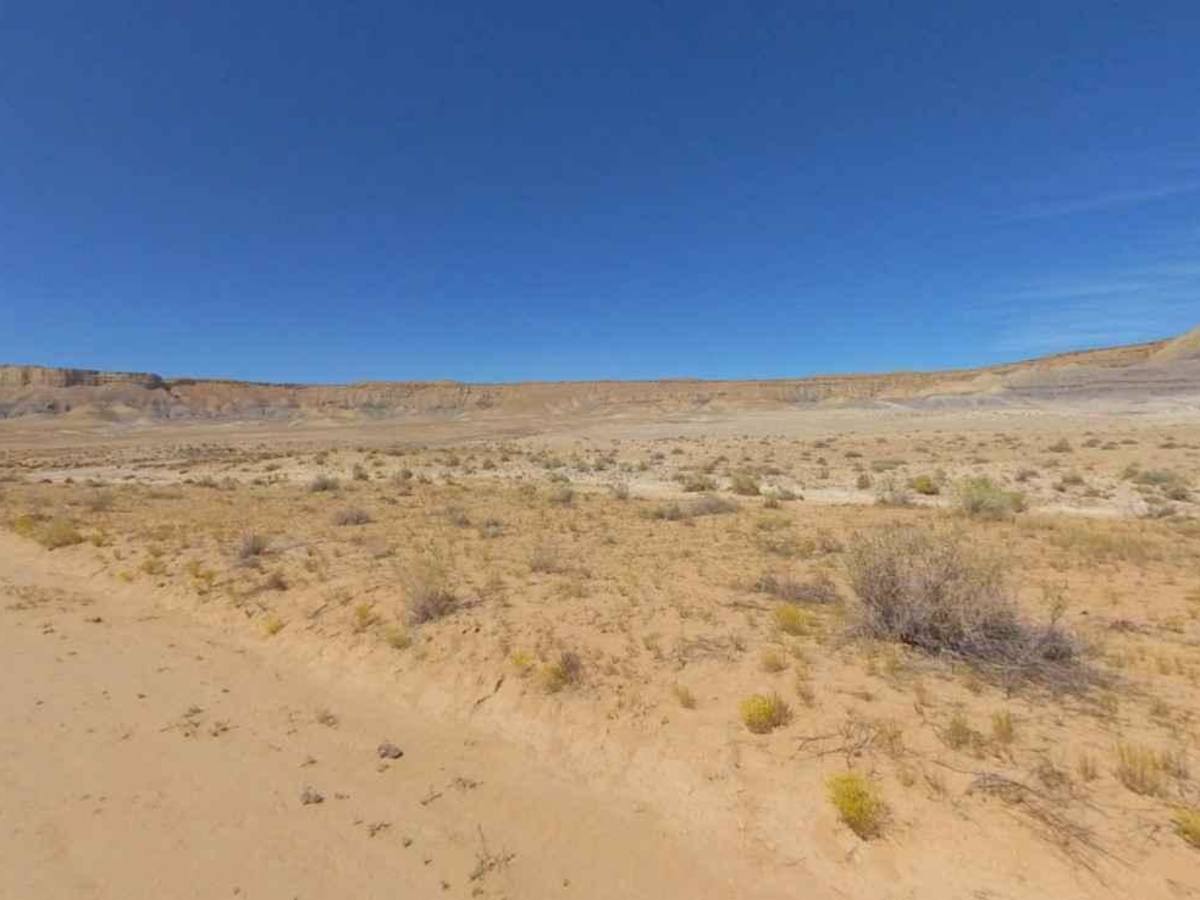 Eggnog Star Springs Road-BLM13000 photo 6