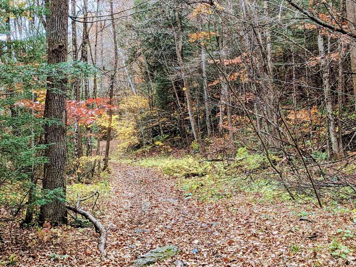 Washington Mountain Road photo 5