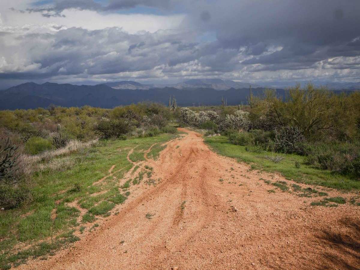 Camp Creek Access ATV Trail trail photo