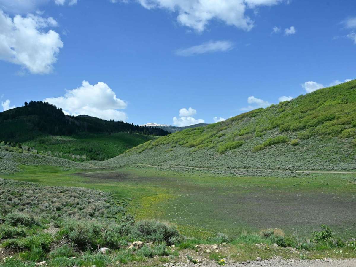 Cove Fort-Dry Creek/PST76 photo 5