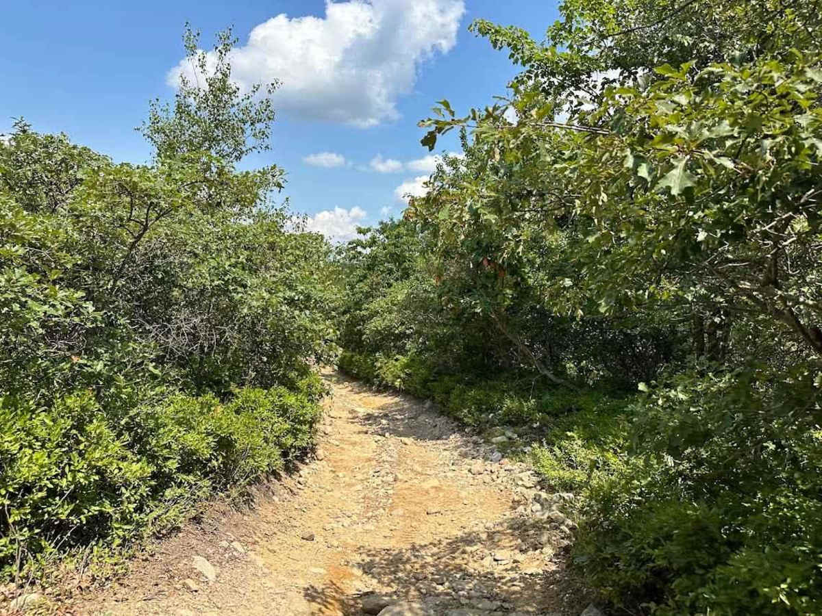 City View Blue trail photo