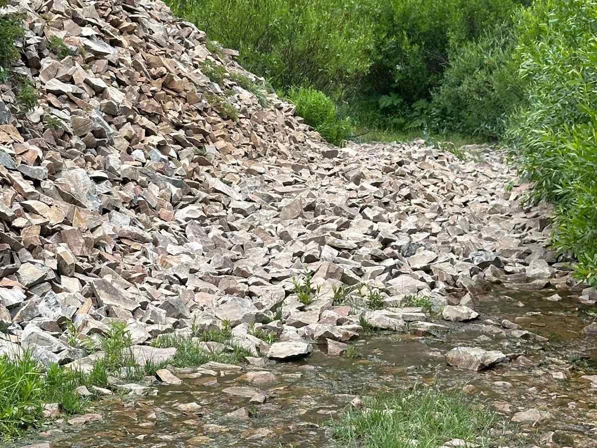 Shale Creek - Kinney Creek Loop trail photo