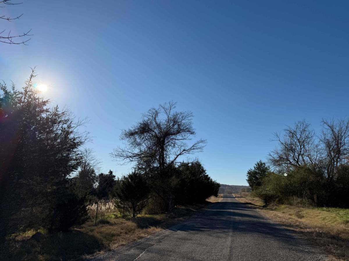 County Road 90 - FS 259 photo 3