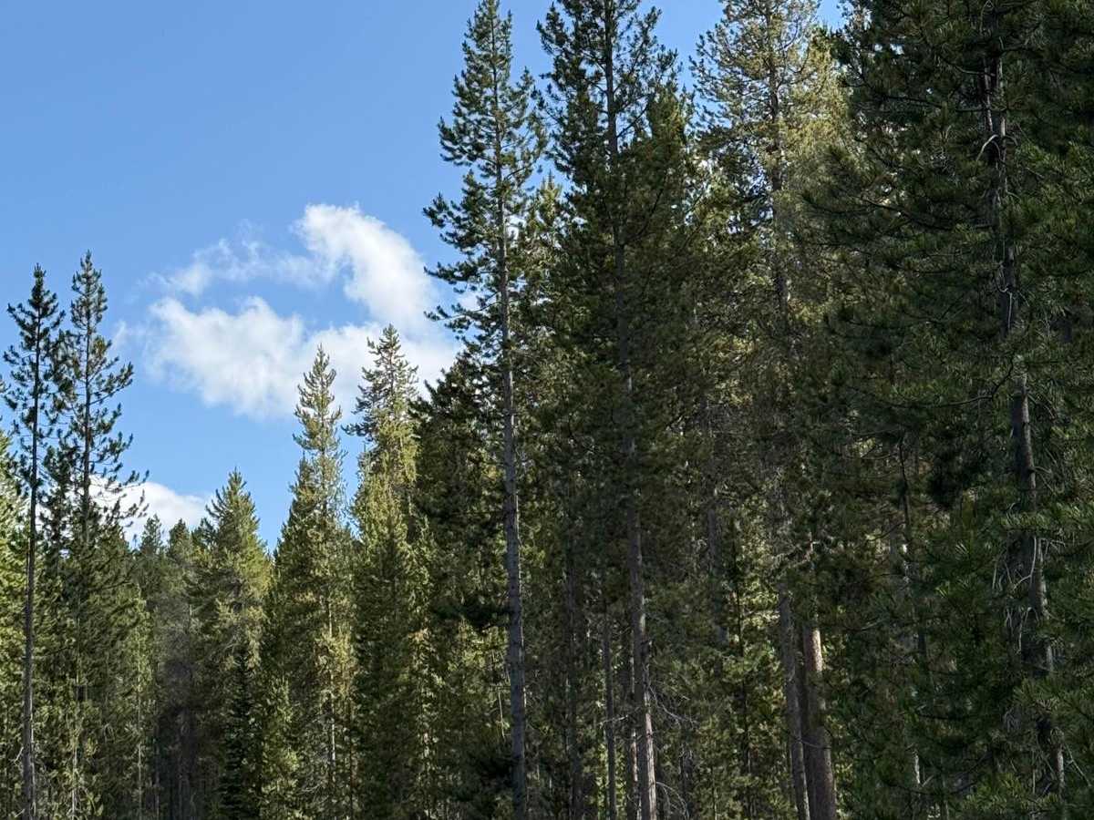 Frog Pond Road trail photo