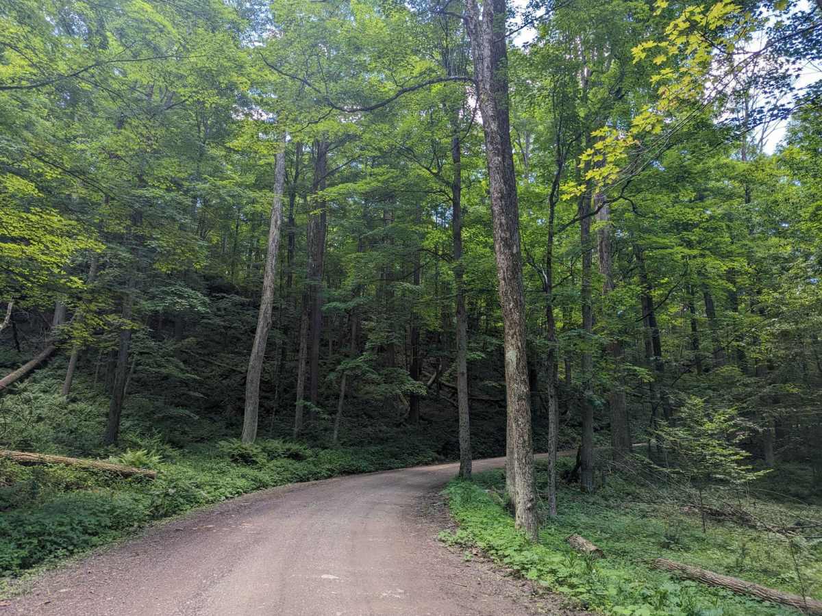 Rock Run Road photo 4